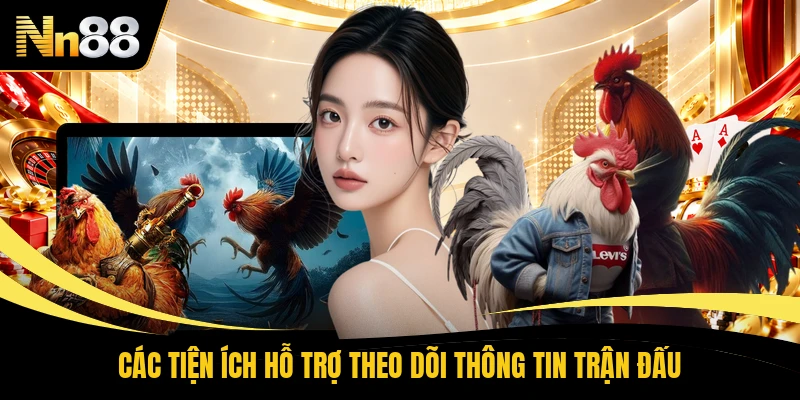 Các tiện ích hỗ trợ theo dõi thông tin trận đấu
