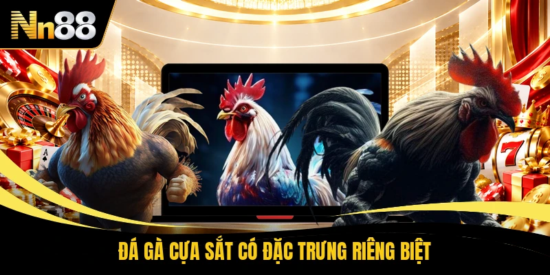 Đá gà cựa sắt có đặc trưng riêng biệt