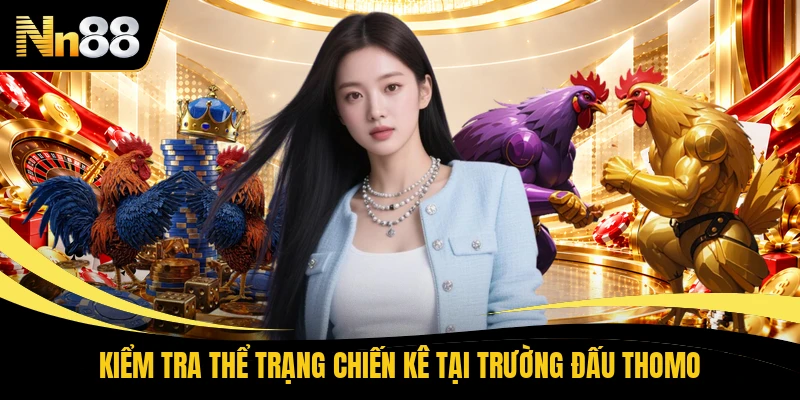 Kiểm tra thể trạng chiến kê tại trường đấu Thomo