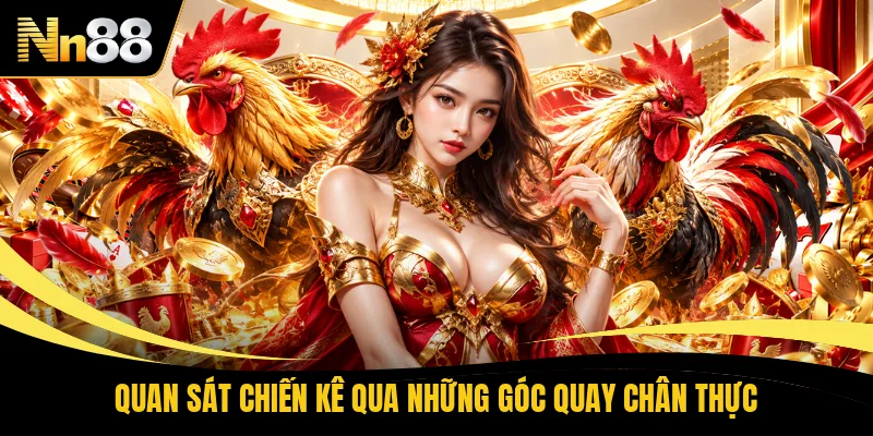 Quan sát chiến kê qua những góc quay chân thực